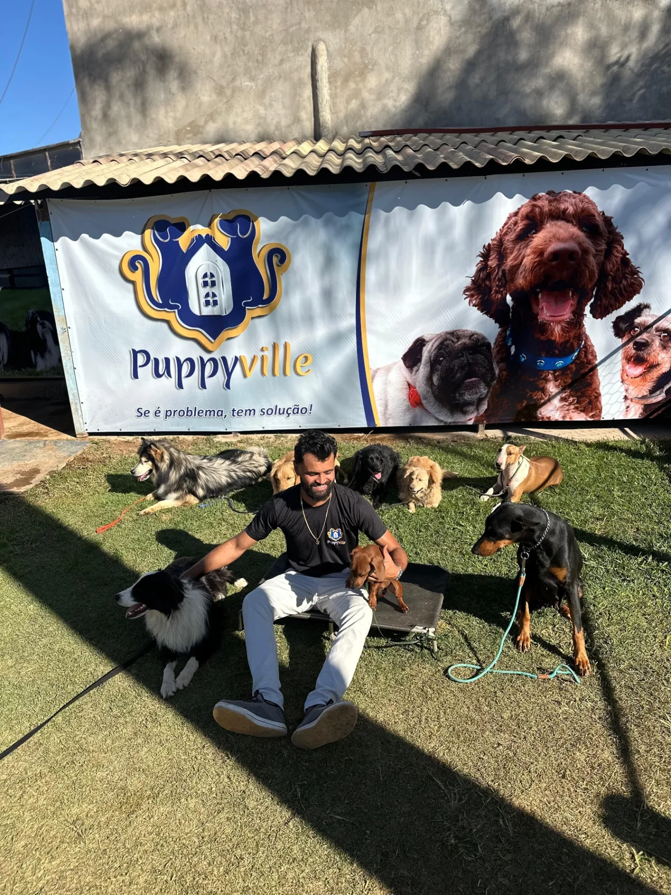 Cães supervisionados na Puppyville