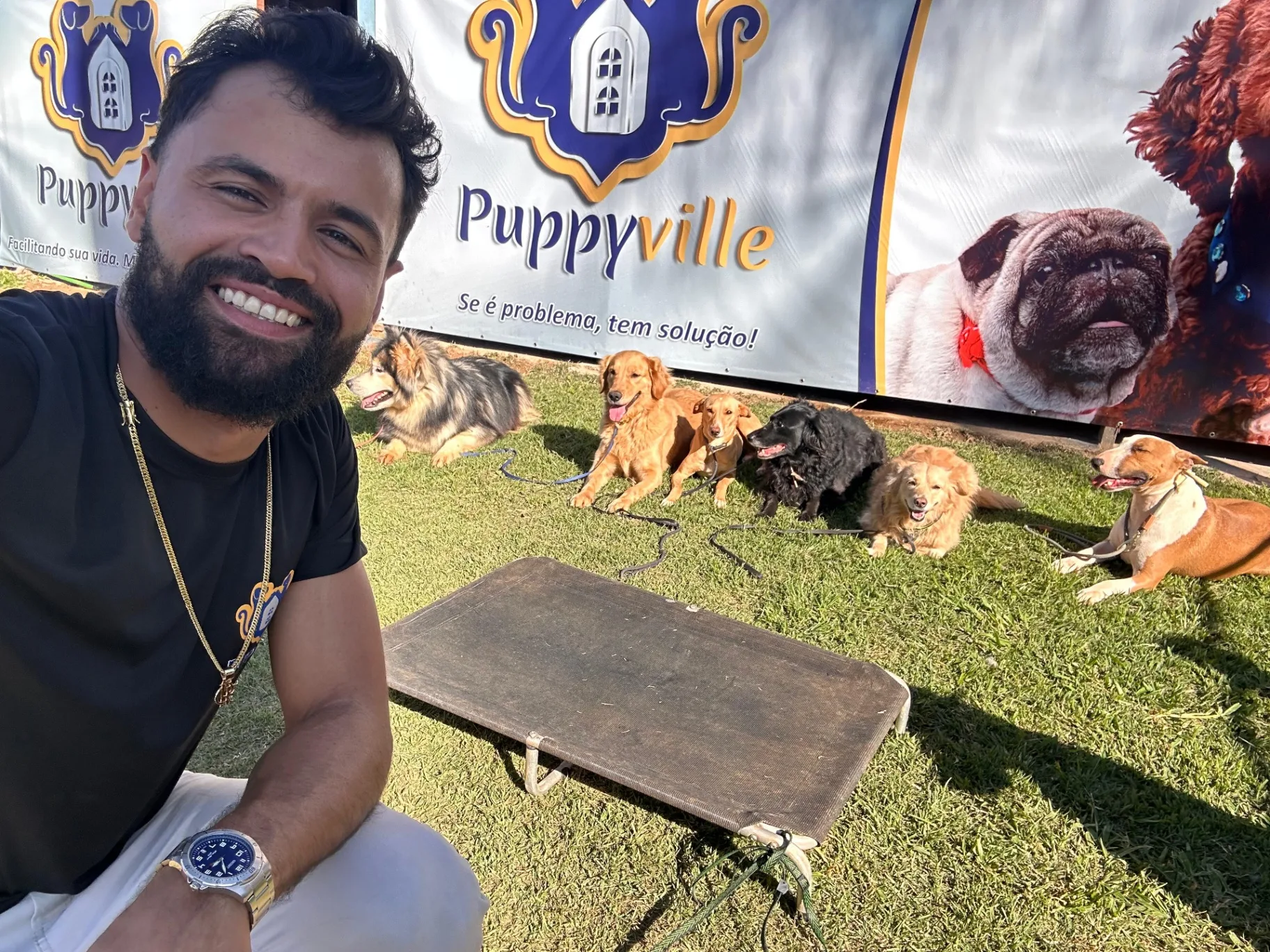 Equipe Puppyville cuidando dos cães